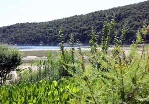 Apartments with parking space Kampor, Rab - 4972