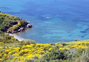 Apartments with parking space Plat, Dubrovnik - 4776