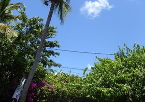 Appartement Chez MAMY