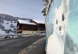 Appartement cosy à Arêches, 50m des pistes, terrasse ouest et piscine l'été - FR-1-342-249