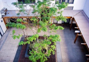 Avemore Eikehoff No 26 full power back up