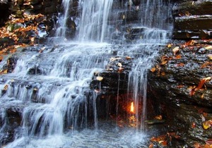 Awesome Find! 3 Wonderful Units, Free Breakfast, and Indoor Pool.