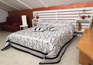 B&b La Camelia