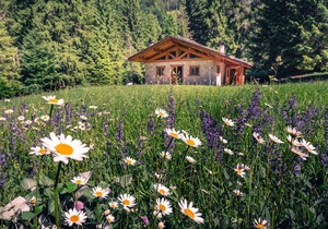 Baita Valon - Alpine Hideaway