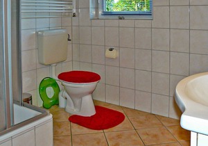 Basement apartment in Freest - Apartment