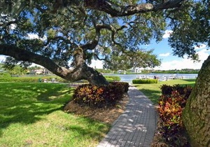 Bay Oaks - 6157 #E01