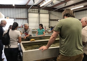 Bayou Life Lodging and Charter Fishing. Only 25 miles to the French Quarter.