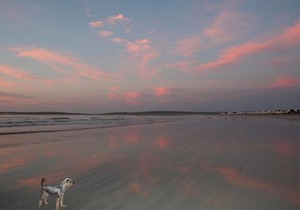 Baywatch Paternoster - The Cottage