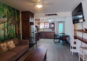 Beach Condo in Playas del Coco, Beach Walking Distance