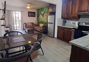 Beach Condo in Playas del Coco, Beach Walking Distance