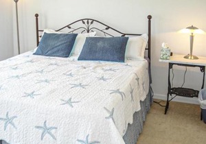 Bear Trap Dunes - 58 Tulip Poplar