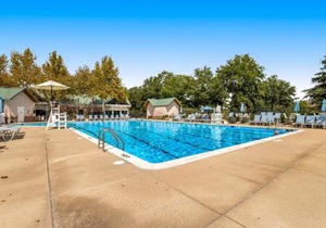 Bear Trap Dunes - 81 Tulip Poplar