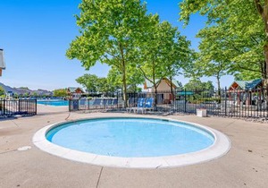 Bear Trap Dunes - 81 Tulip Poplar