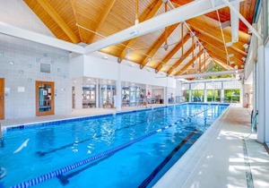 Bear Trap Dunes - 81 Tulip Poplar