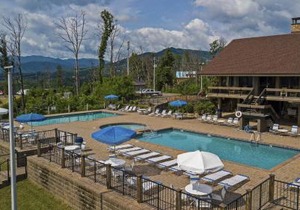 Bearly Hidden Ridge Cabin