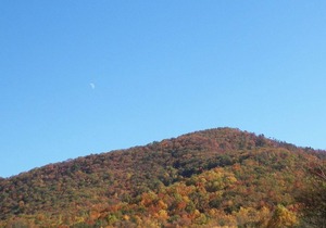 Beautiful 2 bedroom unit at resort, sleeps 4