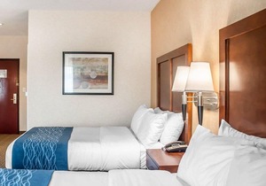 Beautiful Escape! 2 Gorgeous Units, Free Breakfast, Visit to Niagara Falls!