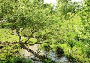 Beautiful Farmhouse in Brisy with Sauna