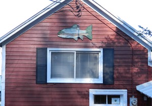 Beautiful Lakefront Cottage