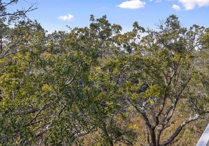 Beautiful Seabrook Villa! Community Pool Access, Dog Friendly, Monthly Winter Rentals!