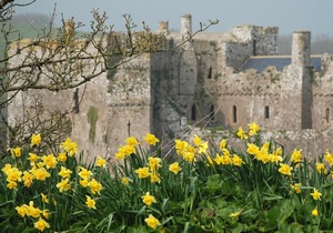 Beautiful victorian house set within Manorbier Castle Walls!