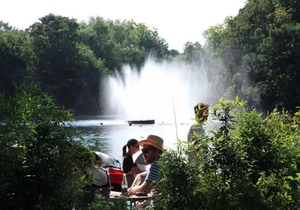 Beautiful Victorian House near Victoria Park