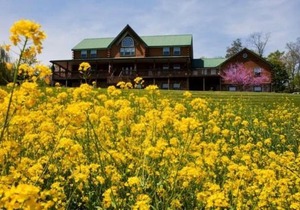 Berry Patch Bed and Breakfast