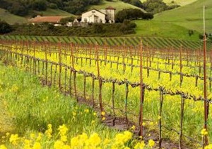 Best Western Garden Inn