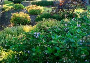 Best Western Garden Inn