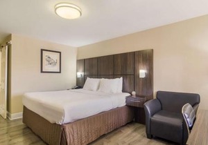 Best Western Historic Bayfront