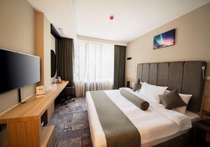 Best Western Plus Center Hotel