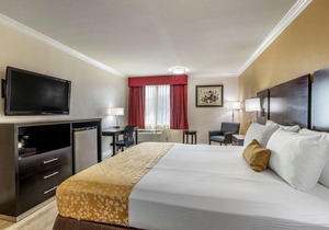 Best Western Plus South Bay Hotel