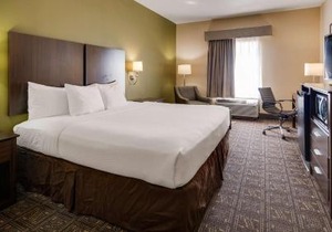 Best Western Rayne Inn