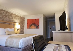 Best Western Plus University Inn