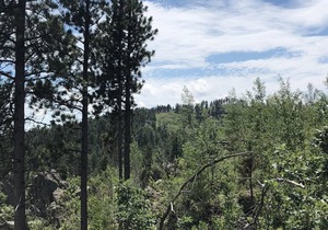 Big Mountain Cabins - A Modern Rustic Experience - New in 2018, Sleeps 2 to 6