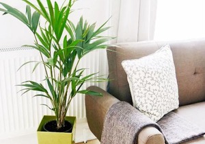 Brand NEW stunning Victoria studio in Archway