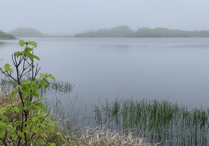 Bright And Breezy Upside Down House In Tom Nevers