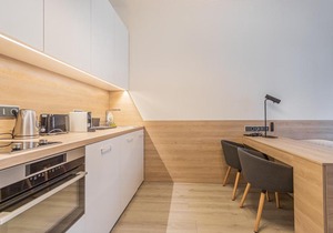 Business Studio Andel, 10 min to Centre, NETFLIX, Paid Parking