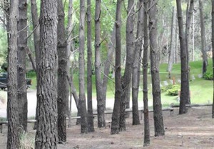 Cabañas con jardin cochera quincho y parrilla, 3 cuadras centro 4 playa