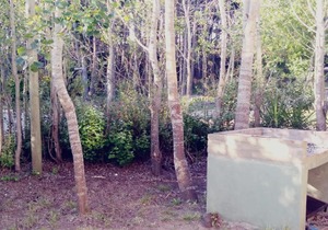 Cabañas con jardin cochera quincho y parrilla, 3 cuadras centro 4 playa