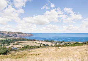 Cabin ∙ 1 bedroom ∙ 2 guests