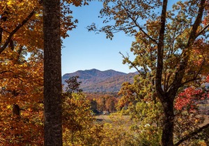 Cabin ∙ 2 bedrooms ∙ 10 guests