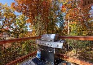 Cabin ∙ 2 bedrooms ∙ 10 guests