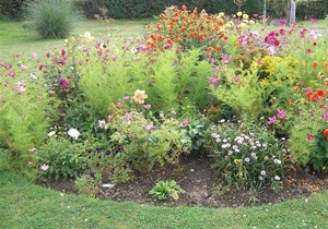 Cabin ∙ 2 bedrooms ∙ 4 guests