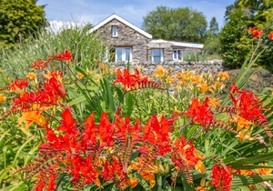 Cabin ∙ 2 bedrooms ∙ 4 guests