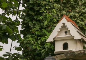 Cabin ∙ 3 bedrooms ∙ 6 guests