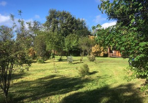 Cabin for 2 people near Castro Chiloe Chile