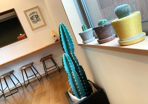 Cactus Inn / Vacation STAY 51553