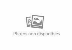 Camping Le Vieux Port ***** - Mobile home 3 Rooms 5/6 People