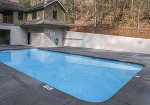 Can't Bear To Leave - Near Pigeon Forge Parkway, Theater Room, FREE Area Attraction Tickets!!!